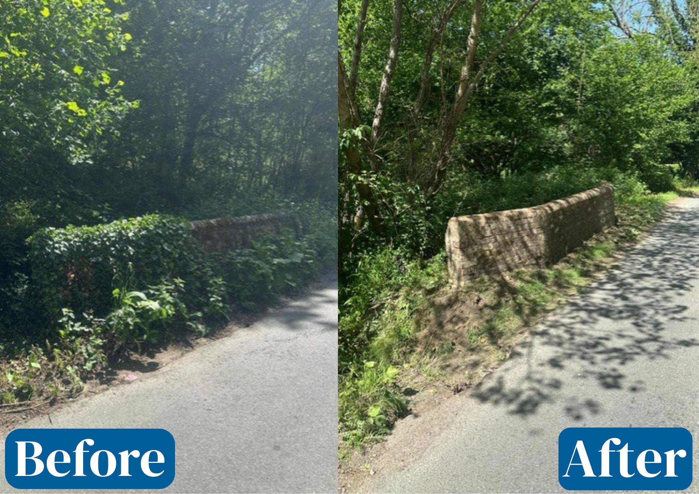 Vegetation clearance
