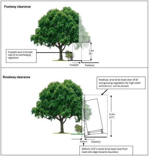 A diagram showing vegetation clearances