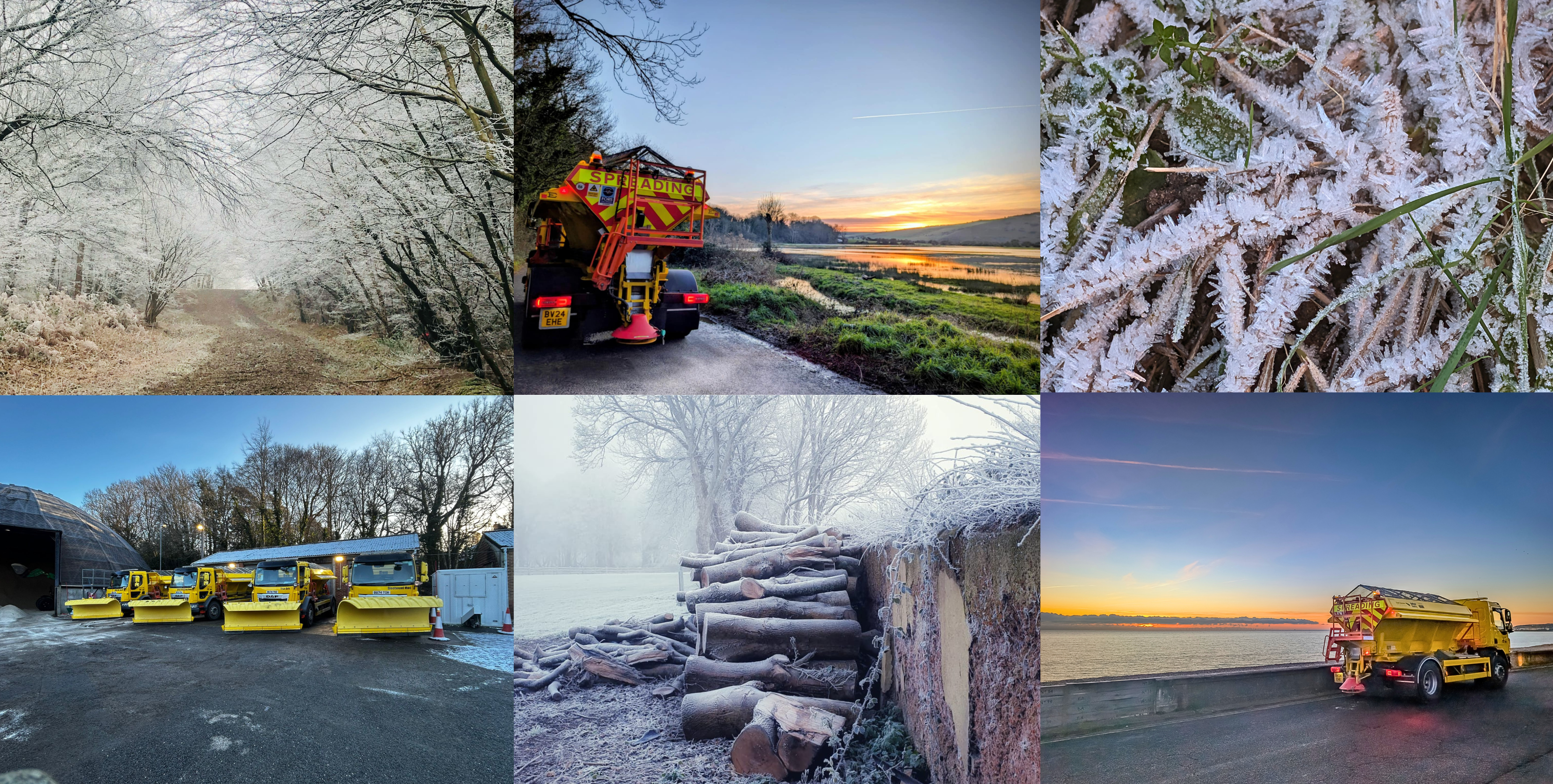 decorative homepage banner